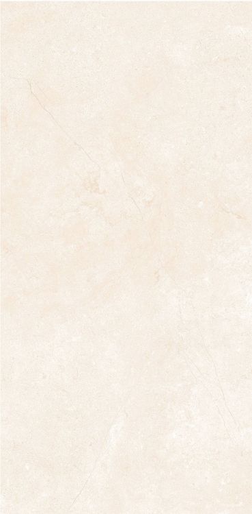 OL Marfil Matte 12 x 24